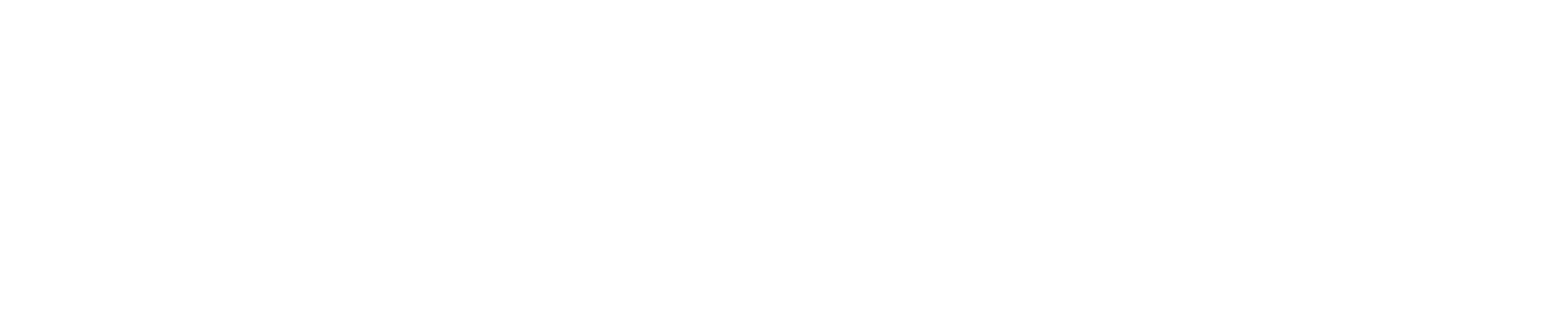 Empiraa Logo