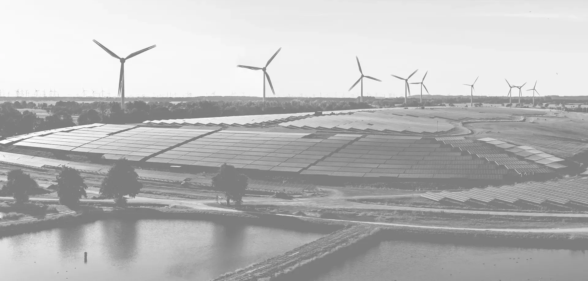 Sustainability Practices for Modern Businesses